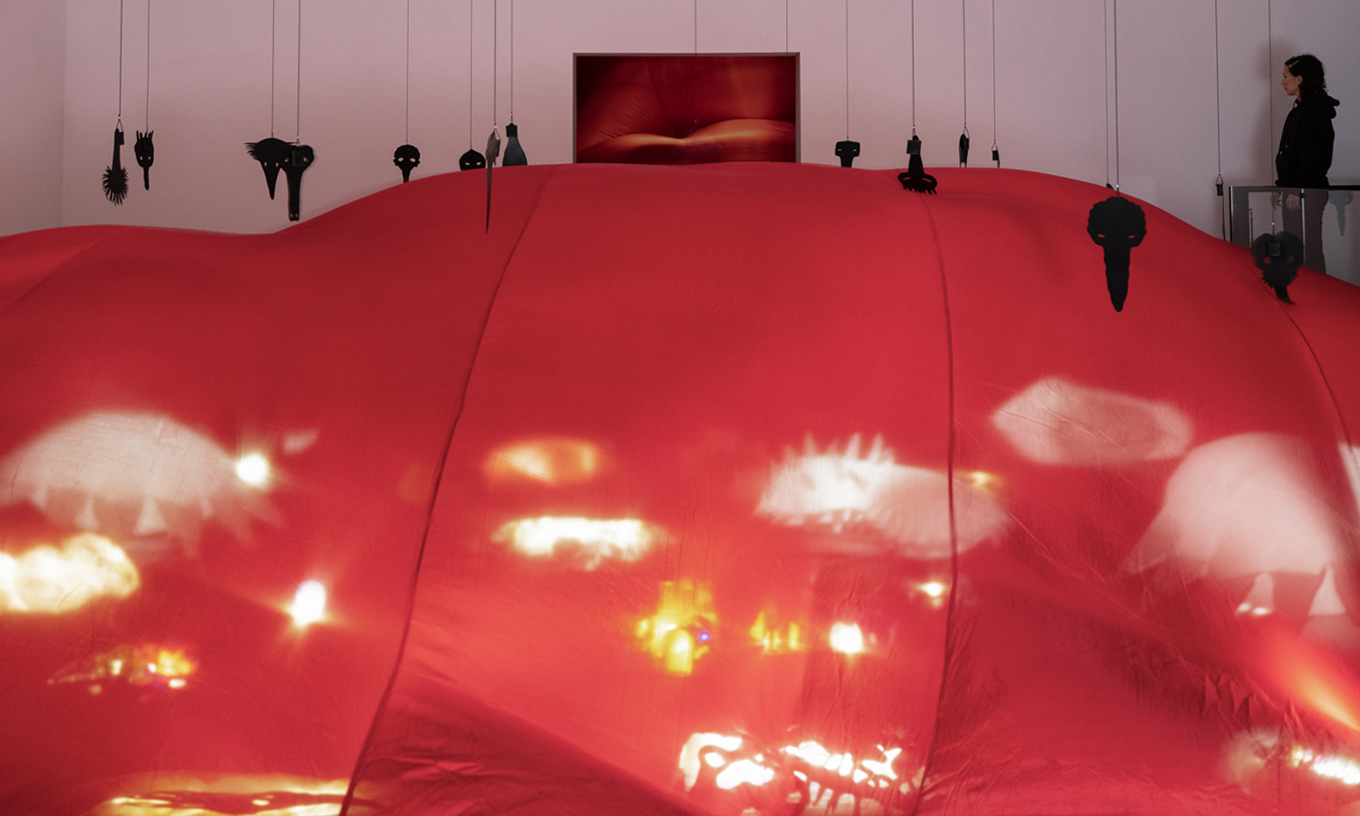 kultura, v�stava, Annette Messager, Kunsthalle