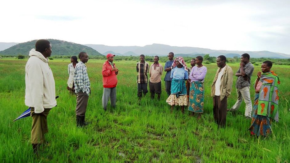 Nezisková organizace Maendeleo pomáhá farmářům v Tanzanii pomocí mikropůjček a vzdělávání.