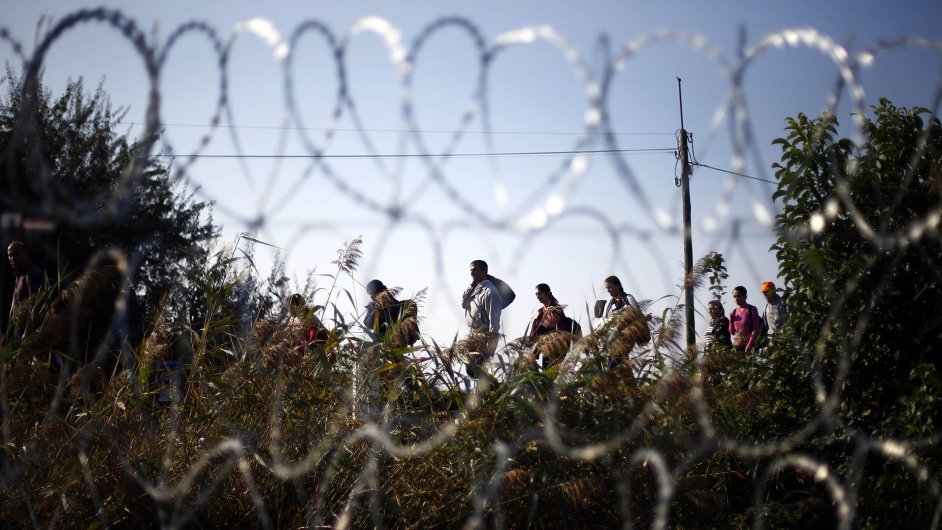 Uprchlci se shlukuj ped oplocenou maarskou hranic