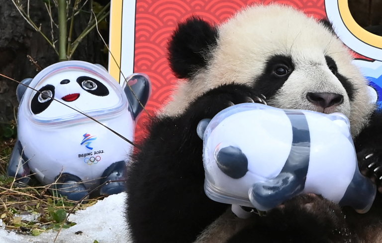 Panda drží maskota olympijských her.
