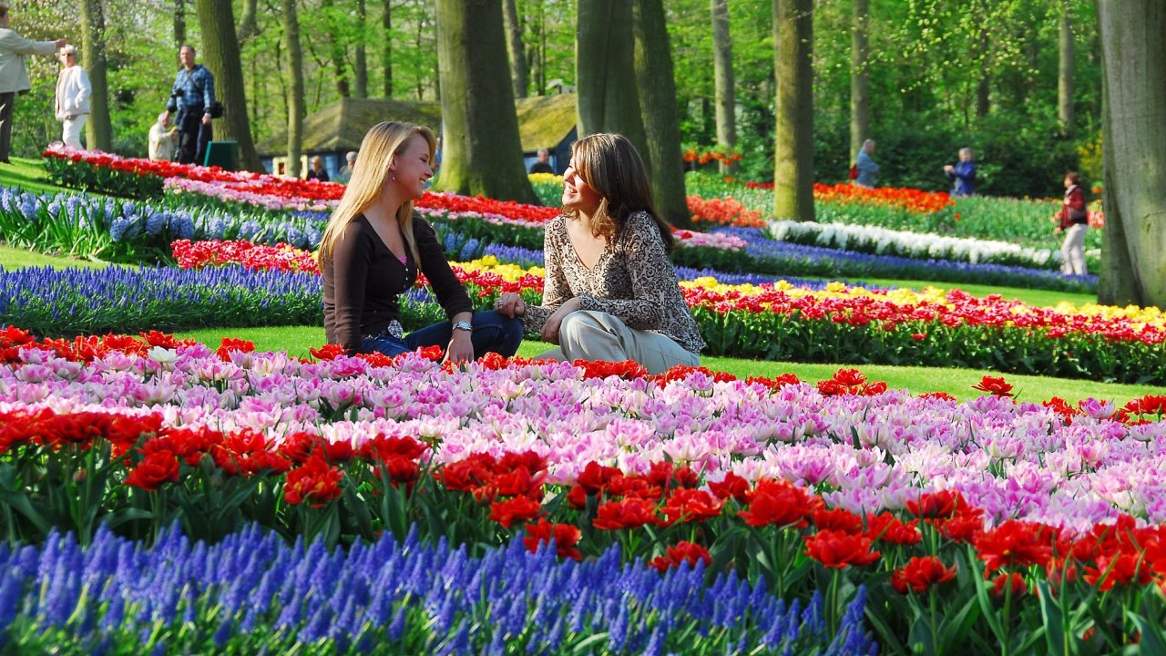 Zahrady Keukenhof v Holandsku