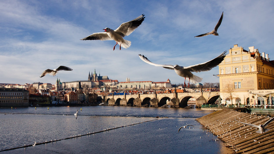 Karlův most je jeden z nejčastějších cílů turistů v Praze.
