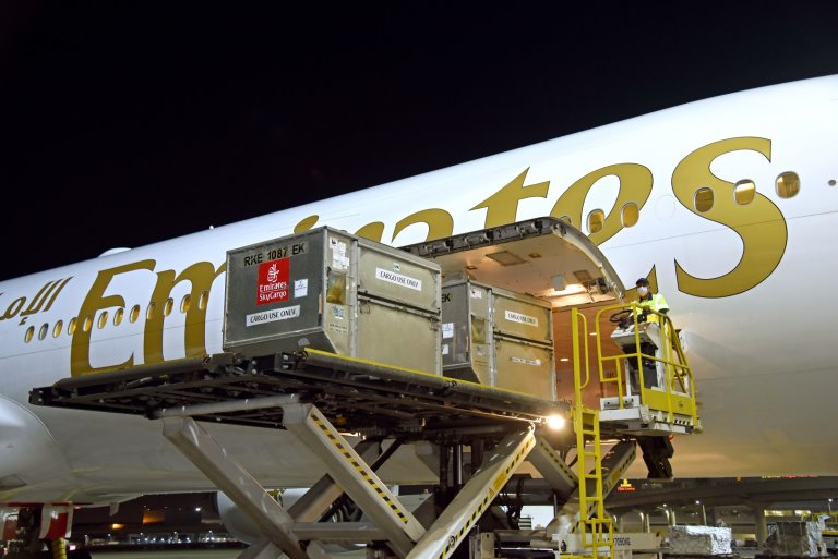 Vakcny pevezl do Spojench arabskch emirt z Bruselu let Emirates EK 182 v ter 22. prosince.