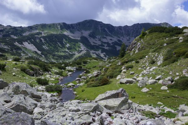 Údolí říčky Demjanice je vskutku úchvatné. Nabízí pastvu místním zvířatům (pastevci sem honí krávy a koně). A skladba flóry se co kilometr zcela změní díky rostoucí nadmořské výšce. Foto: Zdeněk Kotal Údolí říčky Demjanice je vskutku úchvatné. Nabízí pastvu místním zvířatům (pastevci sem honí krávy a koně). A skladba flóry se co kilometr zcela změní díky rostoucí nadmořské výšce.