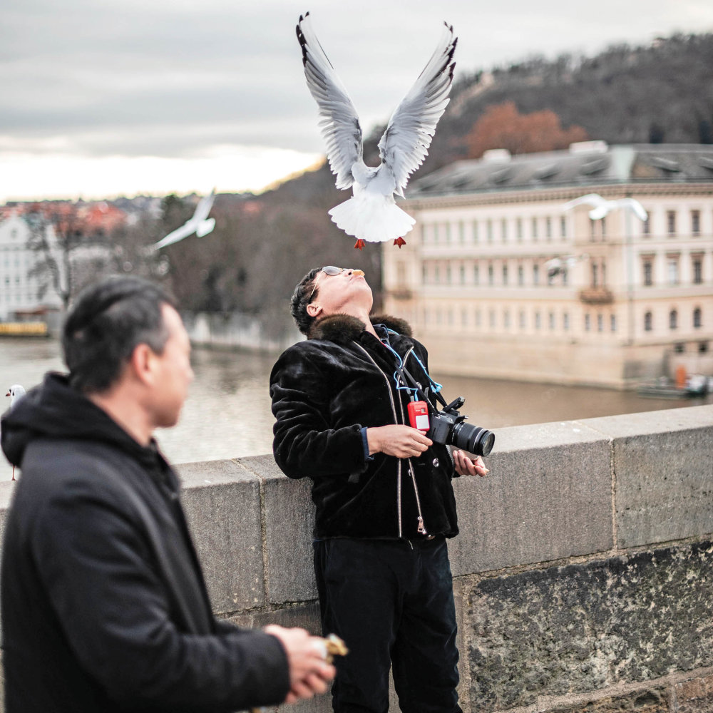 Tomáš Kouba: Absurdno