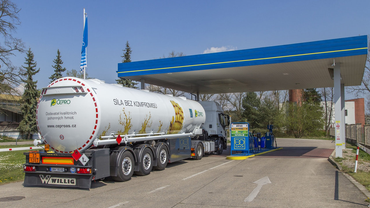 K r�stu hospod��sk�ch v�sledk� podle firmy p�isp�l zejm�na dal�� rozvoj maloobchodn� ��sti spole�nosti.