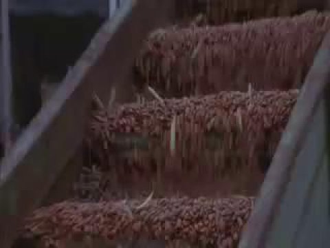 Levon_Helm_Poor_Old_Dirt_Farmer_Official_Music_Video.mp4.jpg