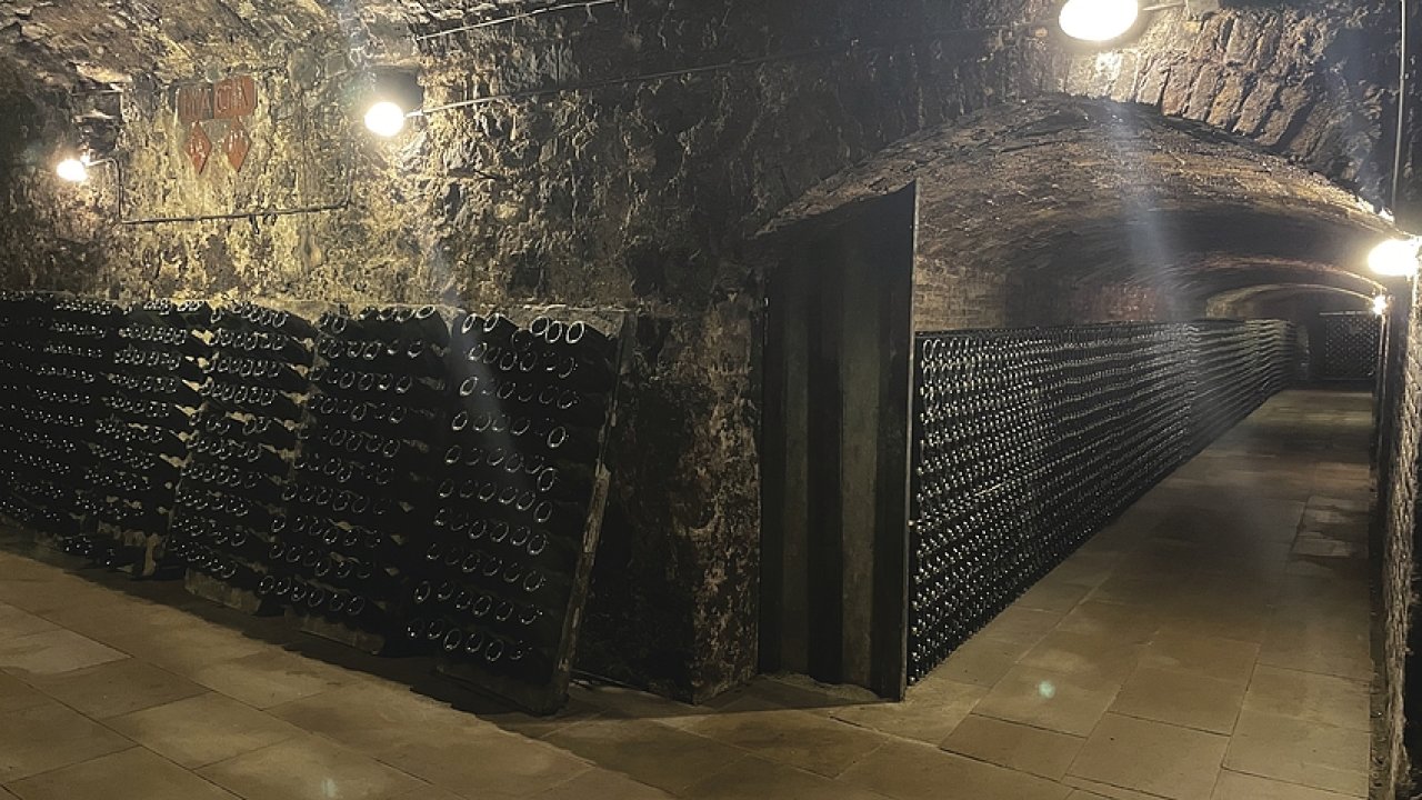 Zásoby vína ve sklepì katalánského vinaøství Fermí Bohigas.