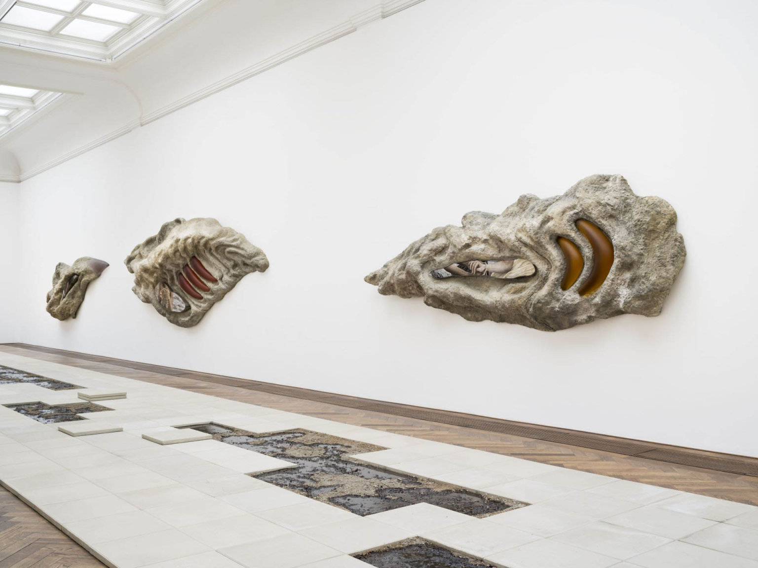 Vstava Klry Hosnedlov Growth, 2024– Kunsthalle Basel.