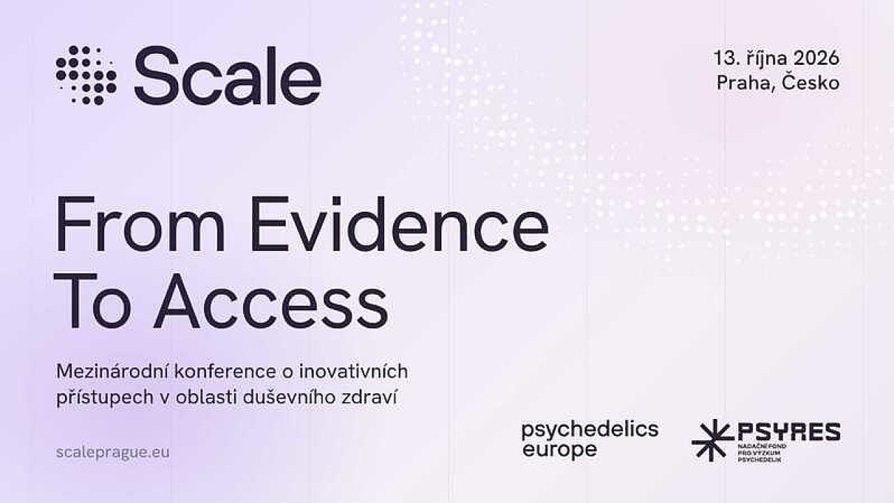 konference
