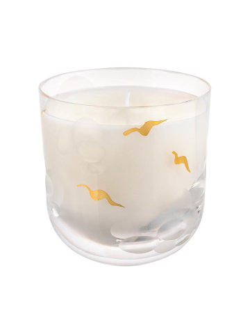 … věřit v mír. Při příležitosti 60. výročí založení Amnesty International vznikla ve spolupráci se sklárnou Rückl svíčka Freedom Candle. Dva designy navrhl Rony Plesl a Aňa Geislerová.