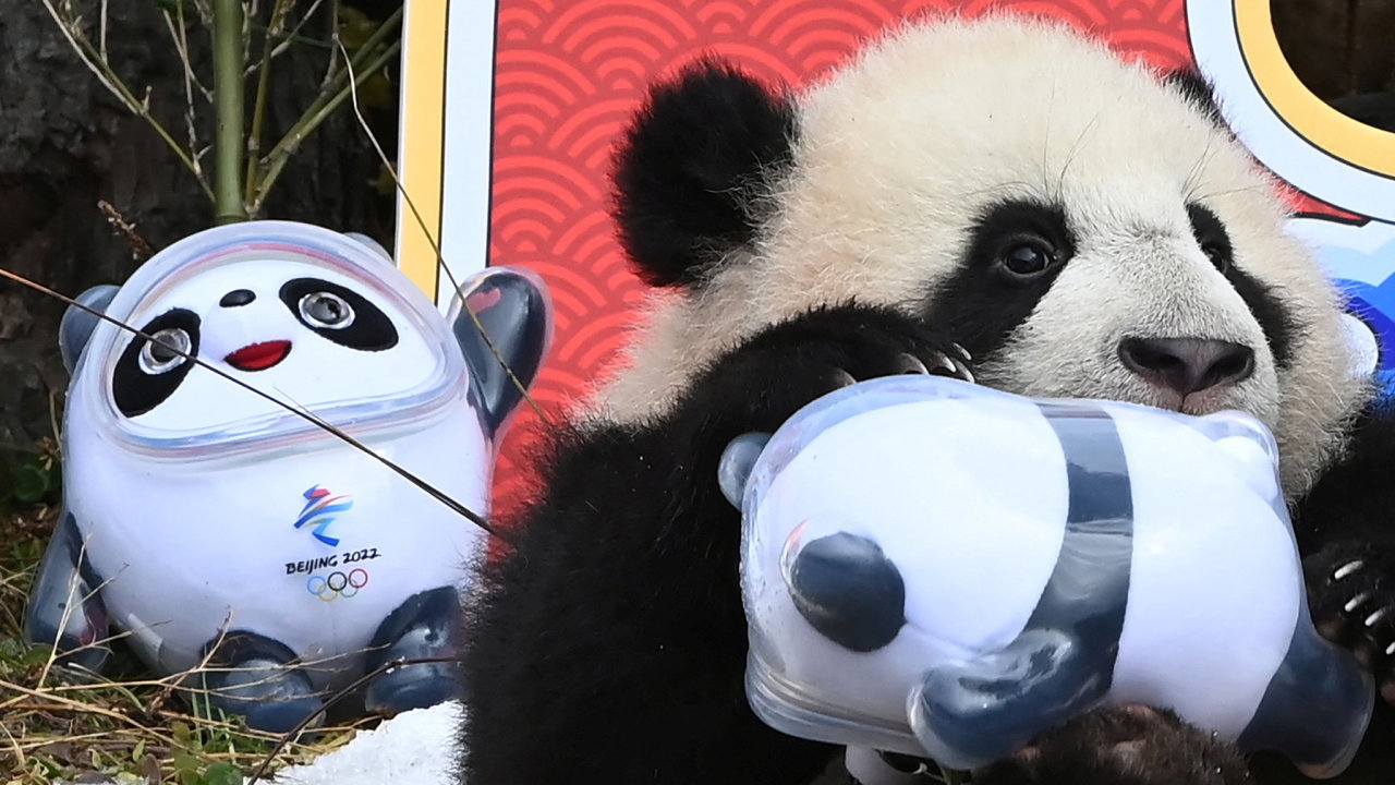 Panda dr maskota olympijskch her.