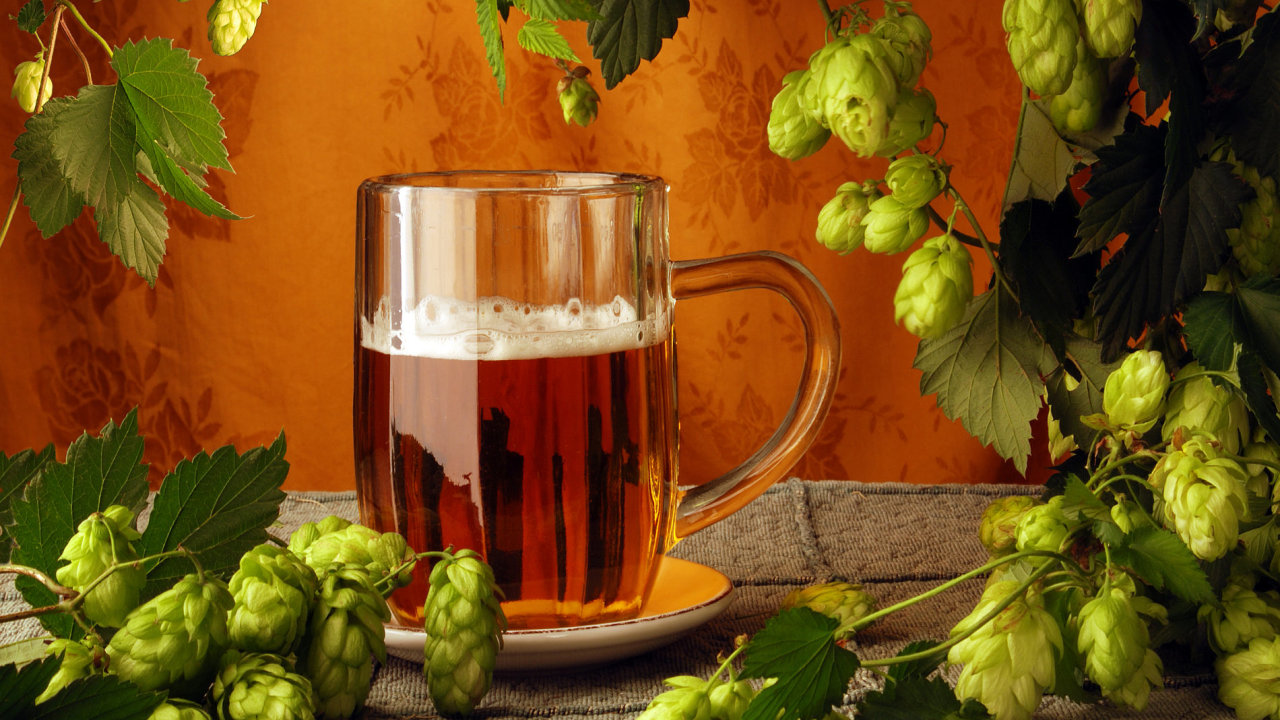Chmelobran v Petrov nabdne produkci dvaceti vybranch malch pivovar.