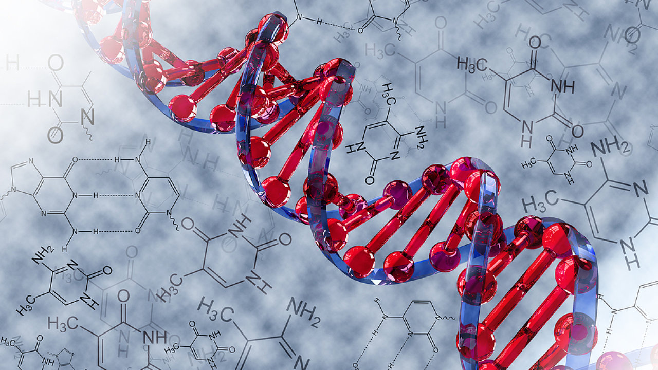 DNA, ilustraèní foto