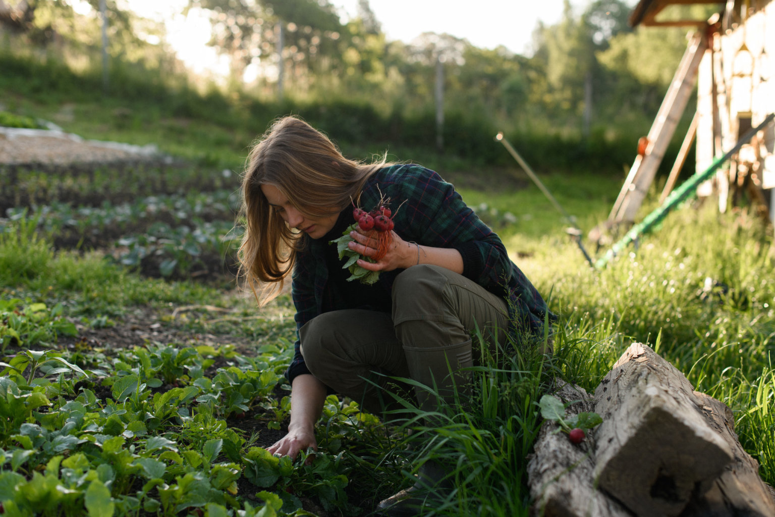 Farma Svobodné hory má svůj promyšlený systém, který malou plochu dokáže efektivně využít a zároveň půdu nevyčerpat. (Foto: Lucie van Vuuren) Farma Svobodné hory má svůj promyšlený systém, který malou plochu dokáže efektivně využít a zároveň půdu nevyčerpat.