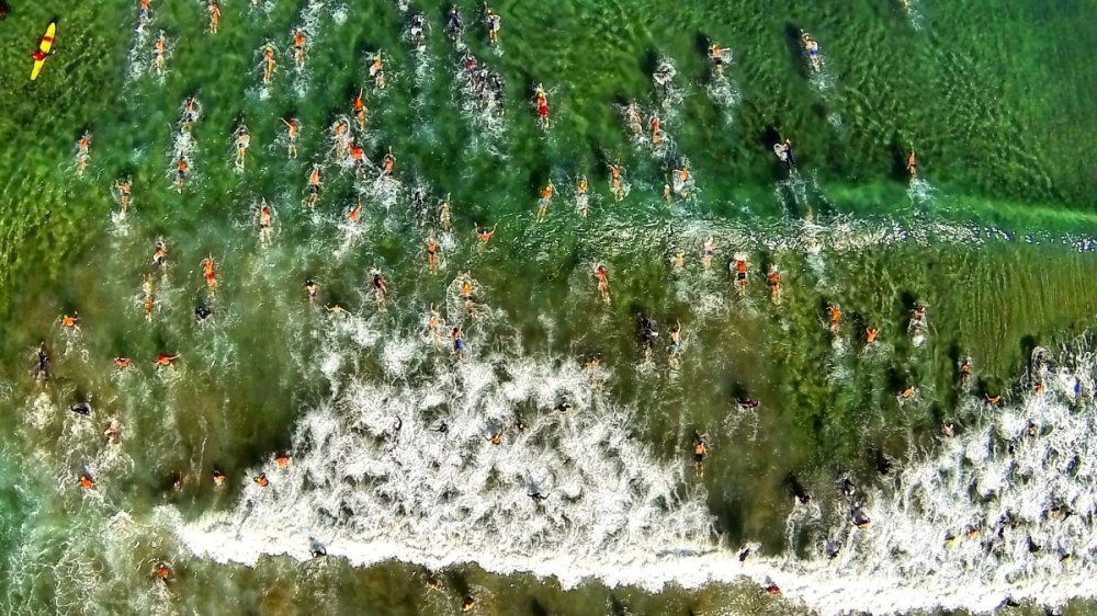 2. cena v kategorii Příroda Fotografie s názvem La Jolla zachycuje plavecký závod poblíž San Diega.