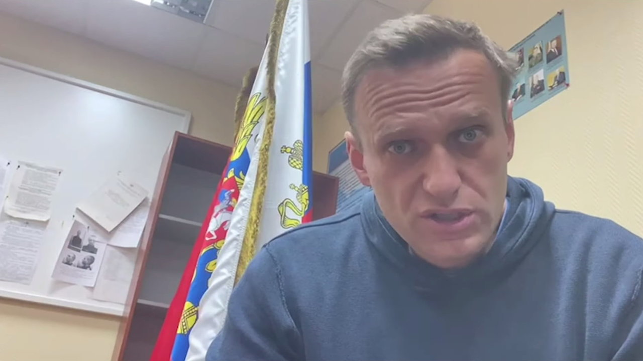 Navalnyj, soud, vazba