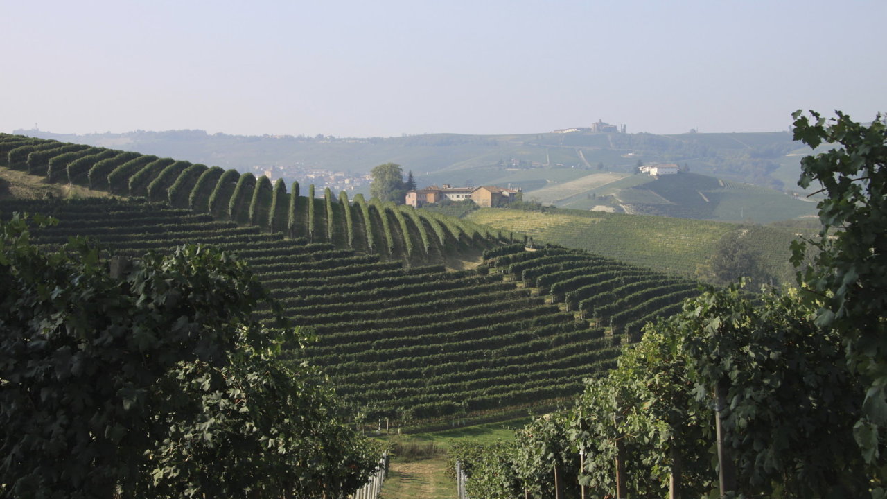 Na vinicch v Piemontu zraje hrozno, z nj se vyrb Barolo nebo Barbaresco, dv vna, kter pat v Evrop k nejlepm.
