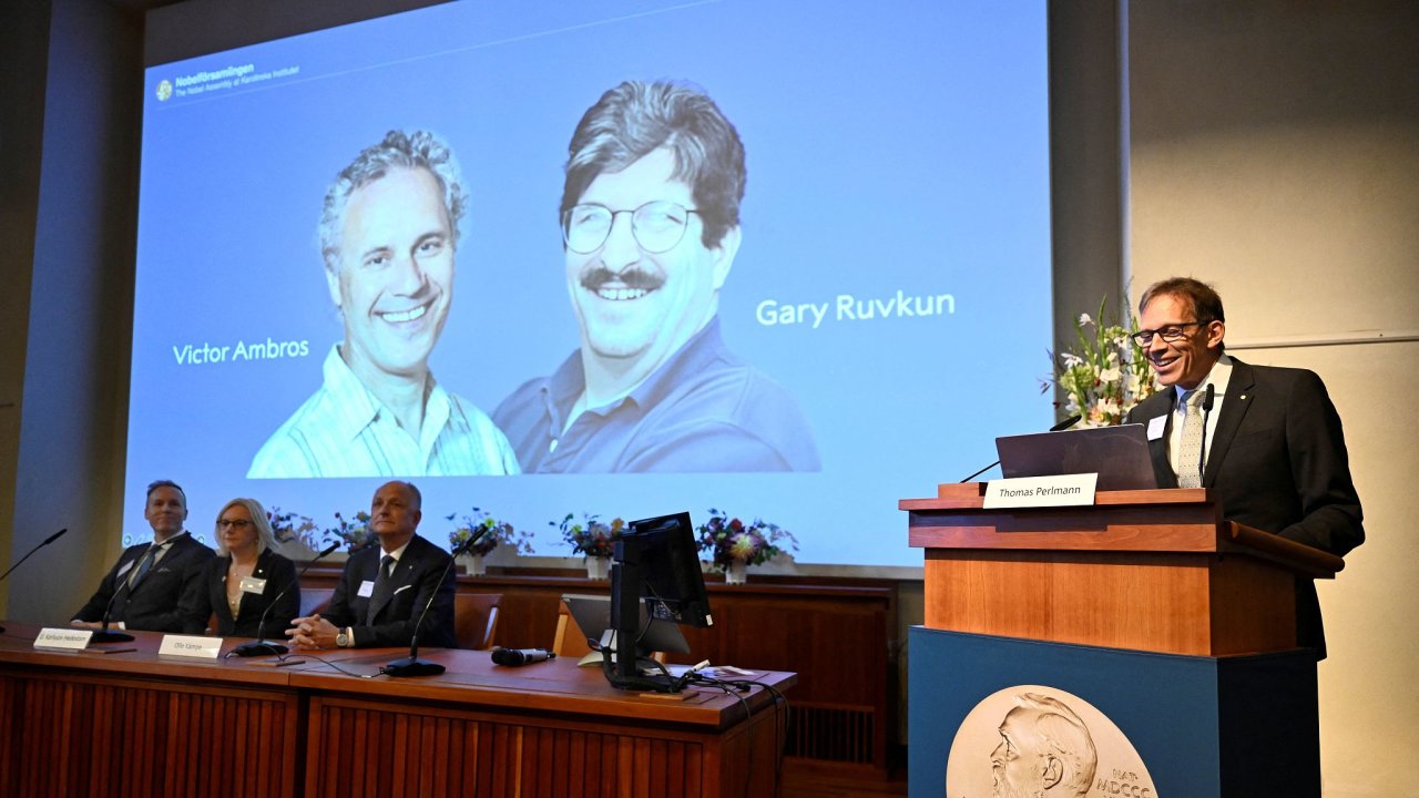 Nobelovu cenu za fyziologii a lkastv zskali Victor Ambros a Gary Ruvkun