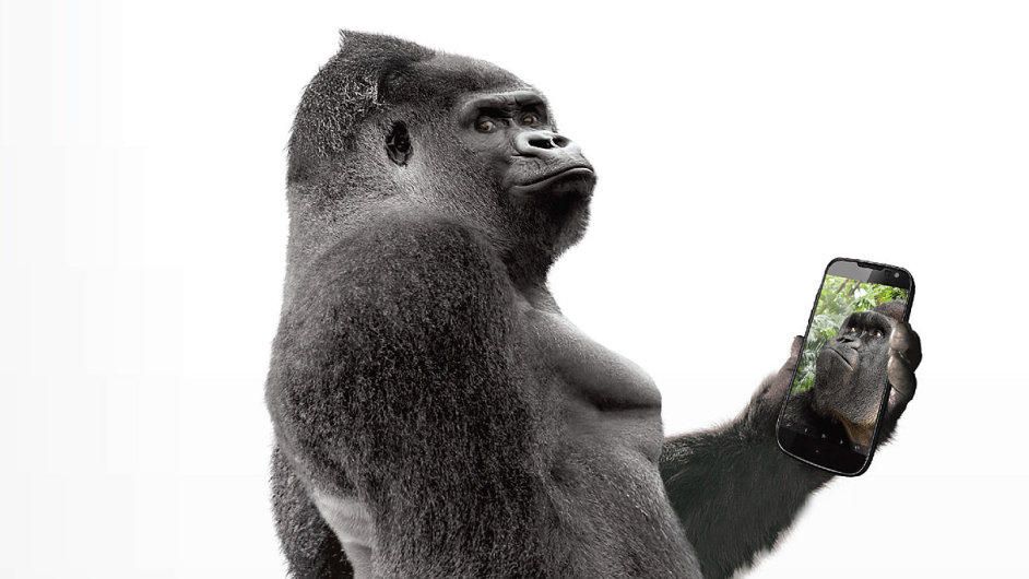 Reklamn fotografie vrobce odolnch sklek Gorilla Glass