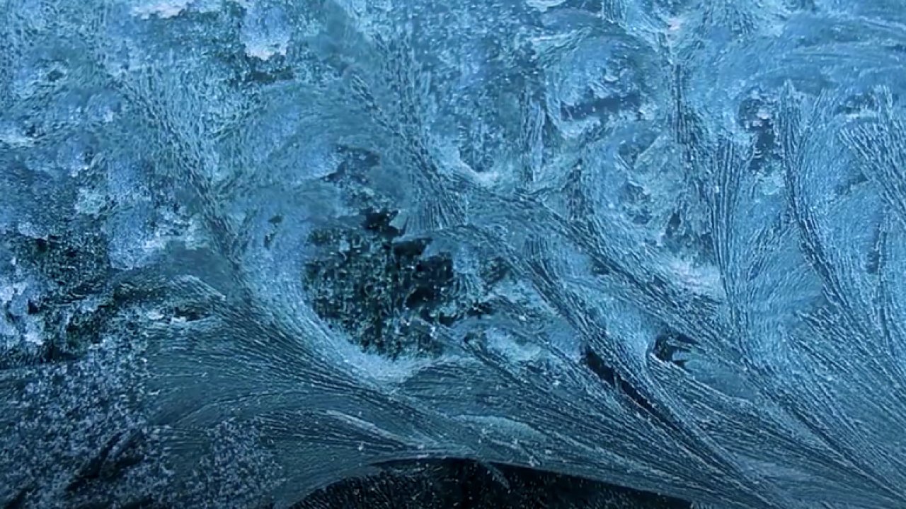 Èeští vìdci zkoumají ledové kvìty. Pomáhá jim jedineèný mikroskop, který sami vyvinuli.