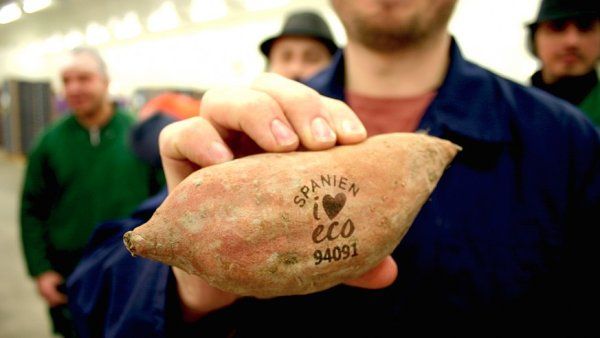 Ve &Scaron;v&eacute;dsku zkou&scaron;ej&iacute; laserov&eacute; zna�en&iacute; ovoce a zeleniny.