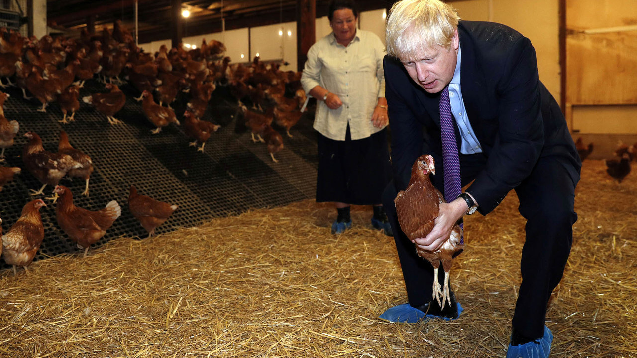 Britsk premir Boris Johnson uklidoval farme kvlibrexitu.