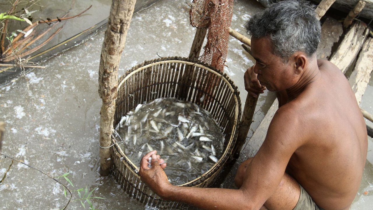 Kambodt rybi lov ryby, aby z nich pipravili tradin ryb pastu prahok. Ryb maso nasol a fermentuj tak, e nejkvalitnj prahok vydr v poivatelnm stavu a ti roky.