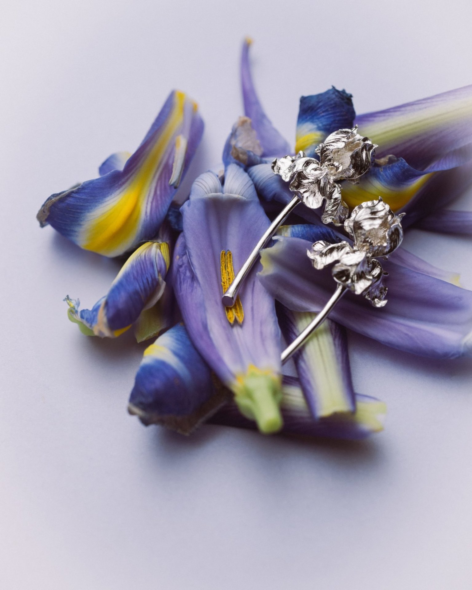 Janja Proki� kolekce Iris