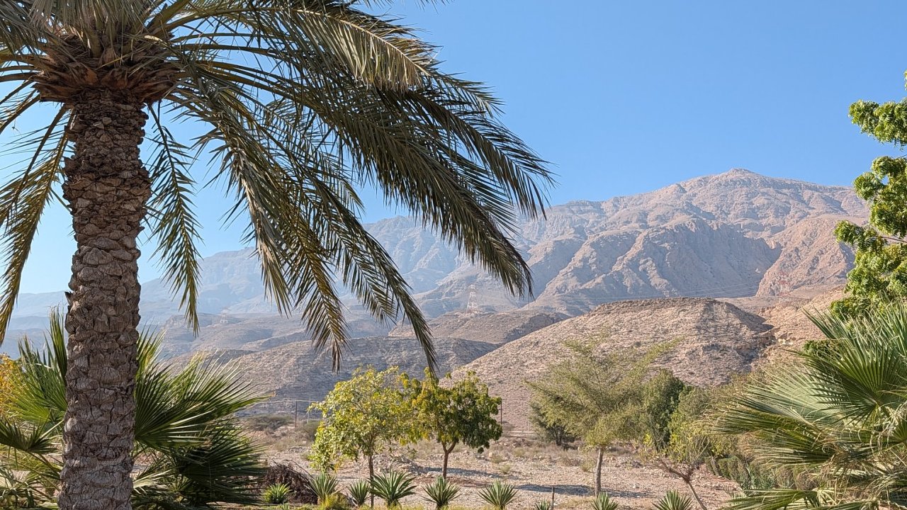 PXL 20251203 051455563