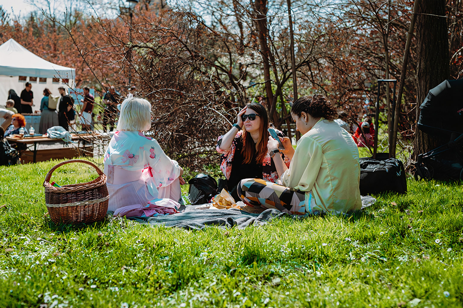 SVÁTEK: Třešňový květ, park Hanspaulka (26. 4. 2025) (Foto: Gabriela Goffová) SVÁTEK: Třešňový květ, park Hanspaulka (26. 4. 2025)