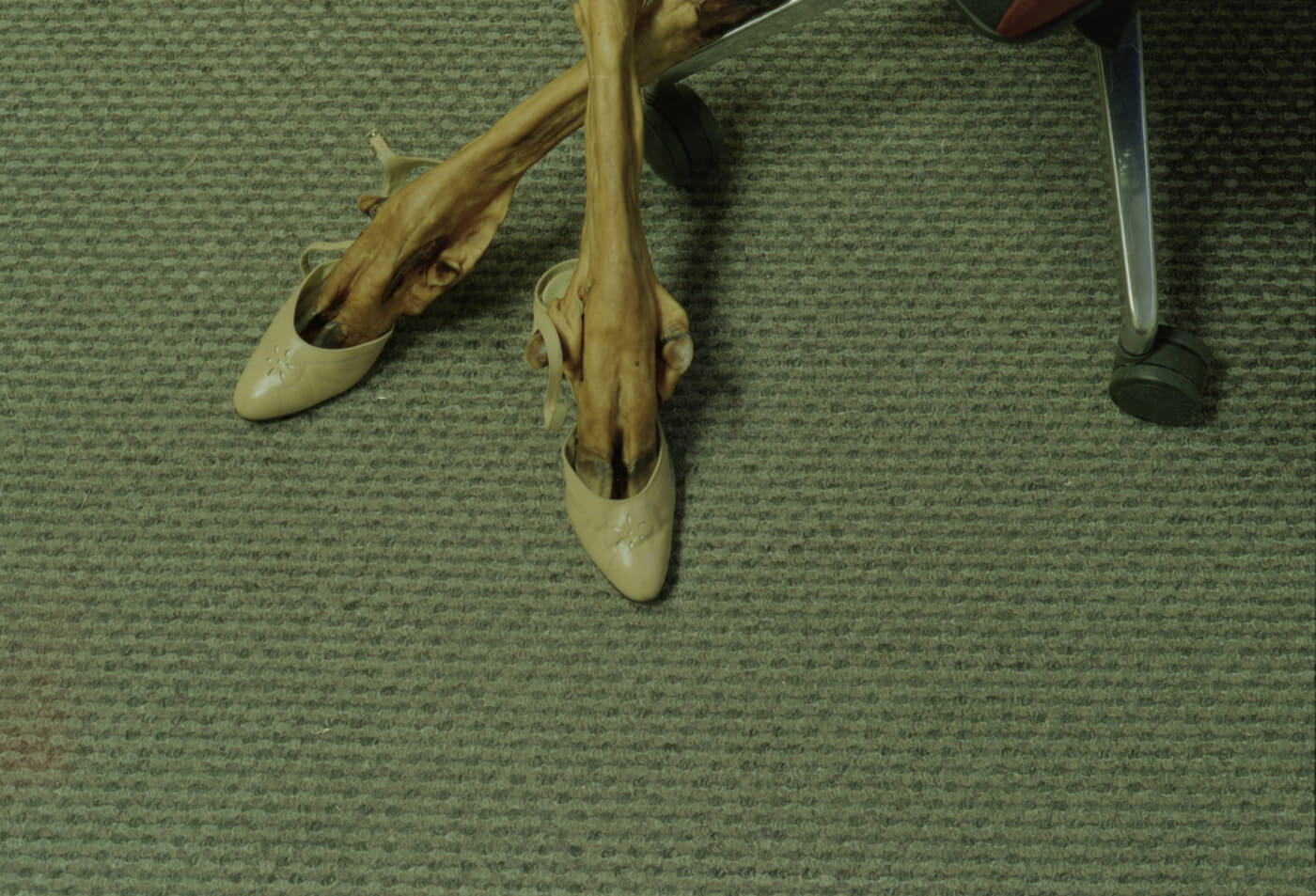 kultura, v�stava, Tereza Jobov� – Undercurrents