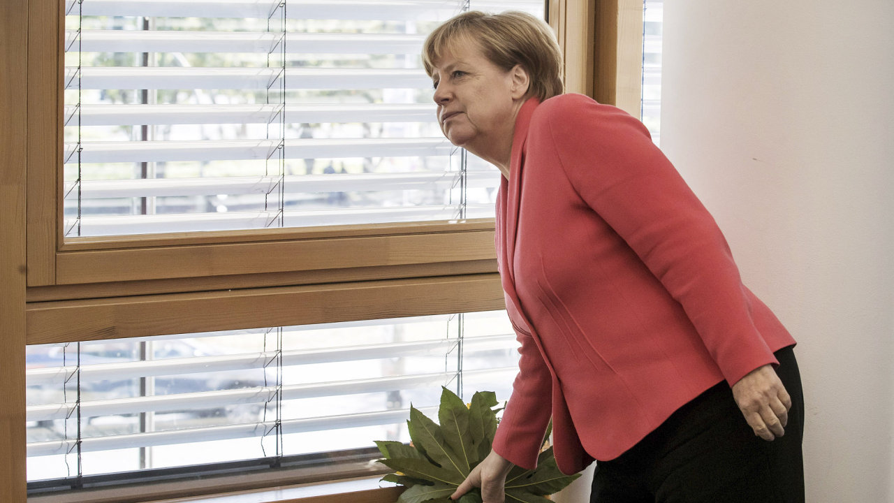Bundeskanzlerin Angela Merkel (CDU) holt die Blumen fr den Berliner CDU-Spitzenkandidaten zu Beginn der CDU-Vorstandssitzung am 19.09.2016 in Berlin. Nach der Wahl zum Berliner Abgeordnetenhaus sind