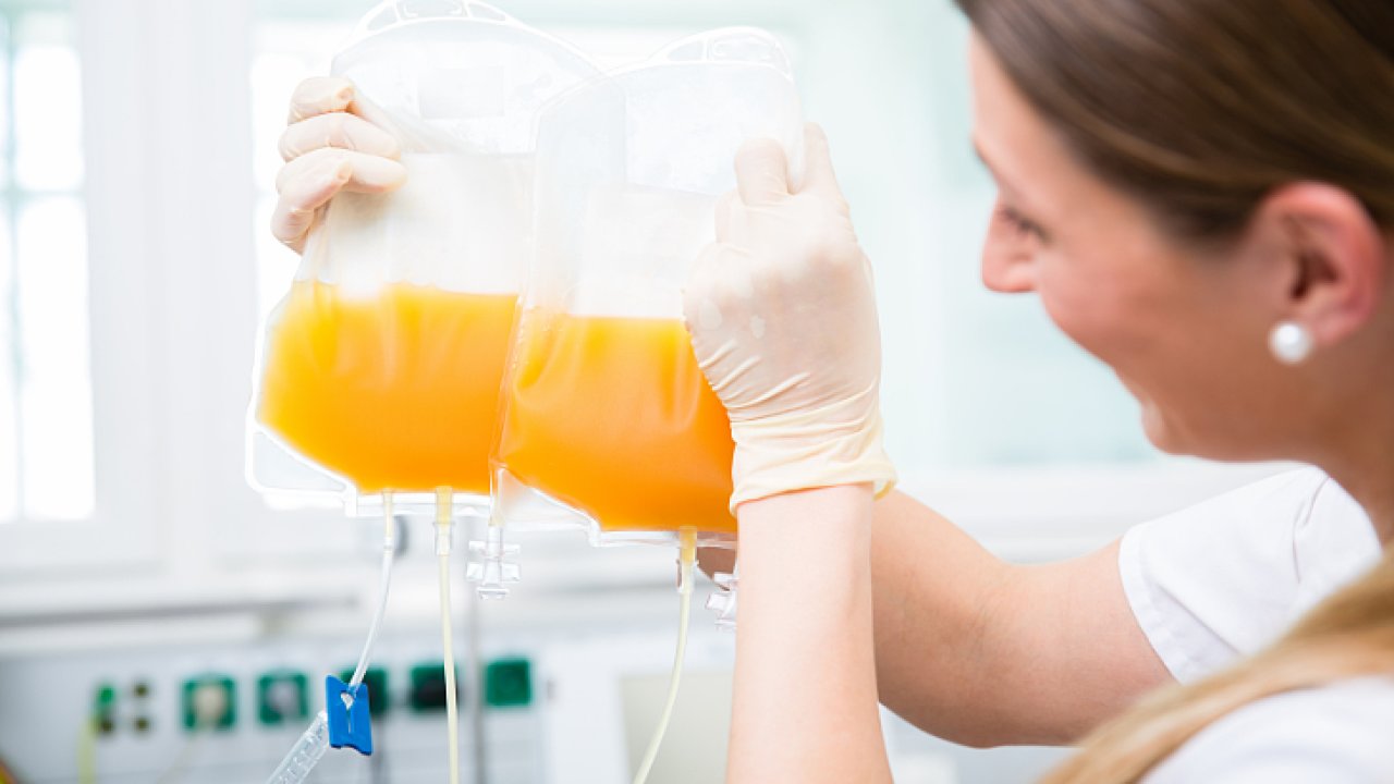 Popis foto: Krevn� plazma je �ivotod�rn� slo�ka krve. Vyr�b�j� se z n� l�ky, mimo jin� na poruchy imunity.