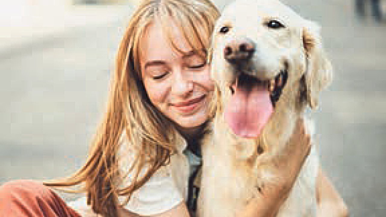 V�dci porovn�vali teenagery z rodin se psem s vrstevn�ky, kte�� se se psem do kontaktu nedost�vali.