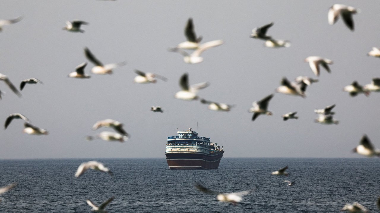 Pt�ci l�taj� kolem lodi v Hormuzsk�m pr�livu b�hem americko-izraelsk�ho konfliktu s �r�nem, pohled z Musandamu v Om�nu, 2. b�ezna 2026