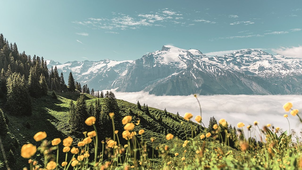 Engelberg, Titlis