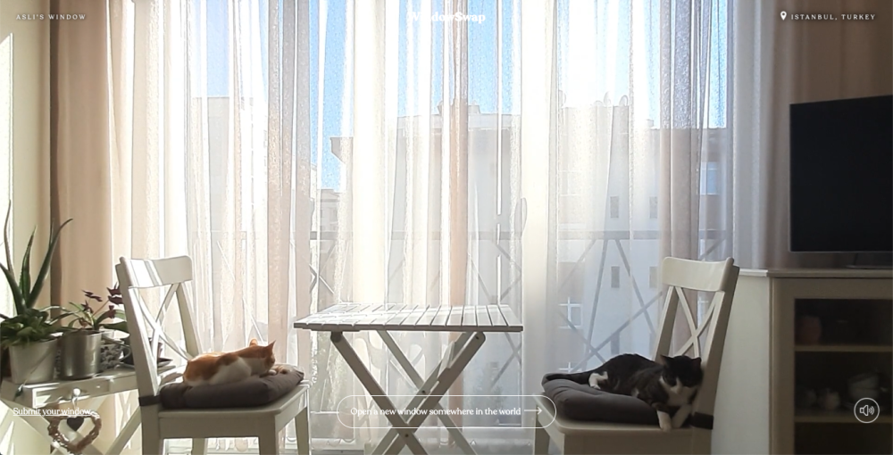 WindowSwap