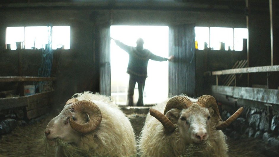 Film Grmura Hkonarsona vyprvo bratrech farmacch na islandskm venkov.