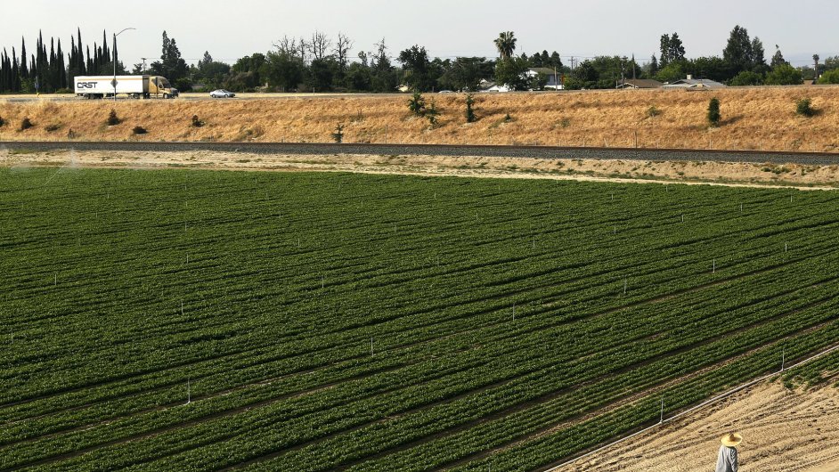 Kalifornii trp jedno z nejhorch obdob sucha v historii.