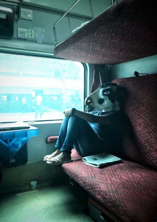 Kr&aacute;vy nakupuj&iacute; na trhu a hraj&iacute; na klav&iacute;r. Fotograf upozor�uje, �e v Indii jsou v&iacute;c ne� �eny