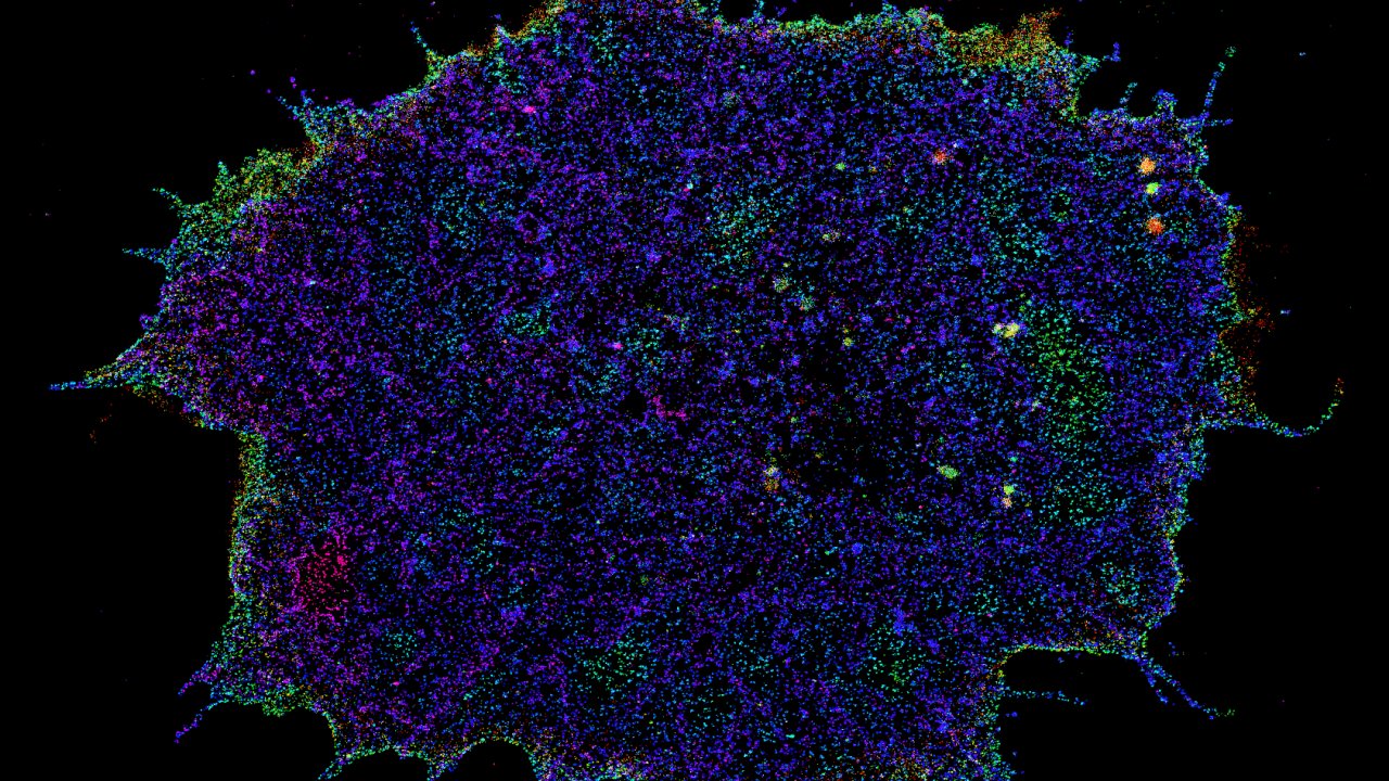 Trojrozmrn zobrazen povrchu lidskch blch krvinek s pesnost kolem 20 nanometr. Tet rozmr je na snmku zobrazen barvou  vrcholky znzoruje purpurov, dolka zelen a erven.