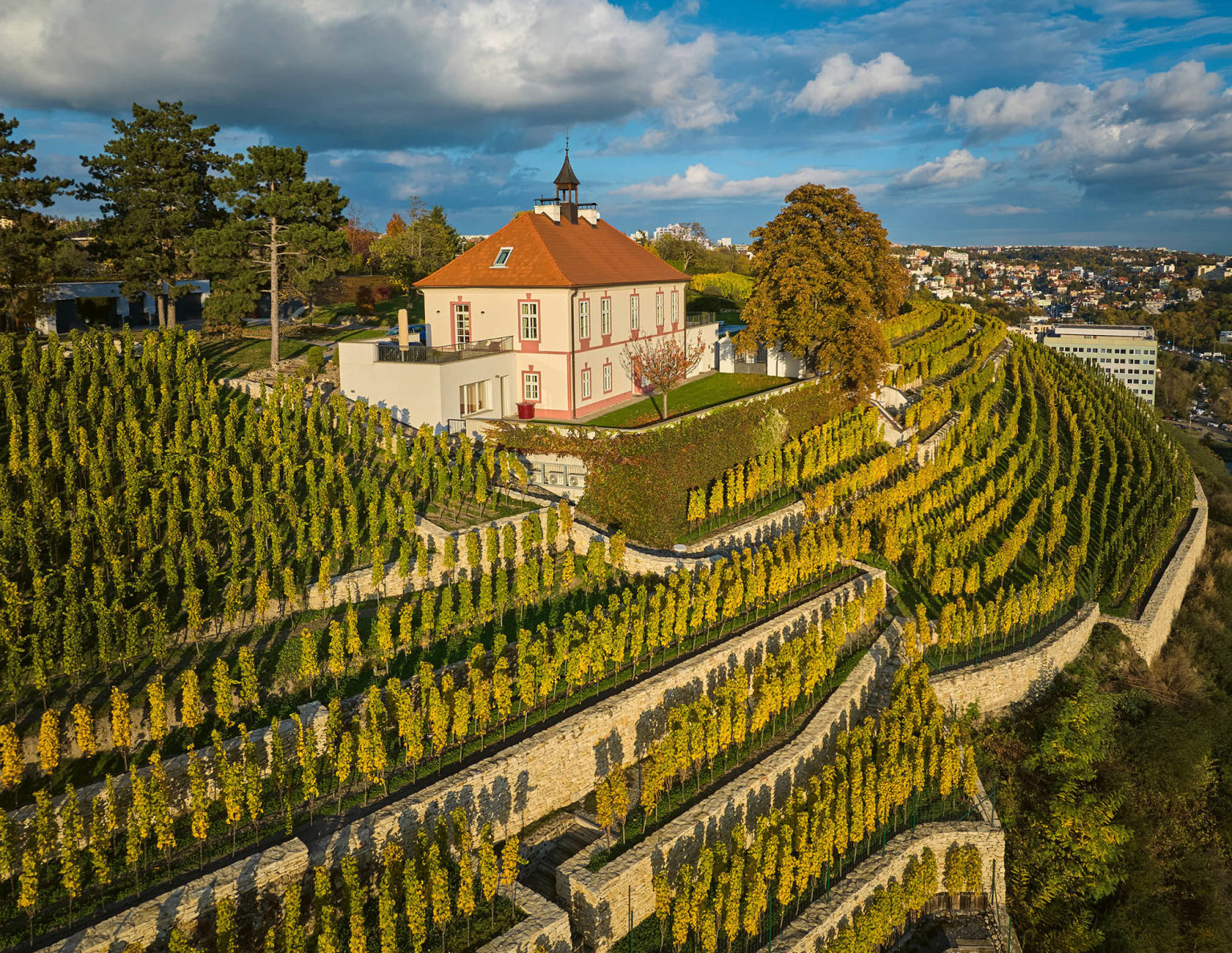 Ch�traj�c� z�me�ek si Vydrovi koupili p�ed patn�cti lety a&nbsp;pustili se do&nbsp;rozs�hl� rekonstrukce. A� pak zjistili, �e tu b�vala vinice.