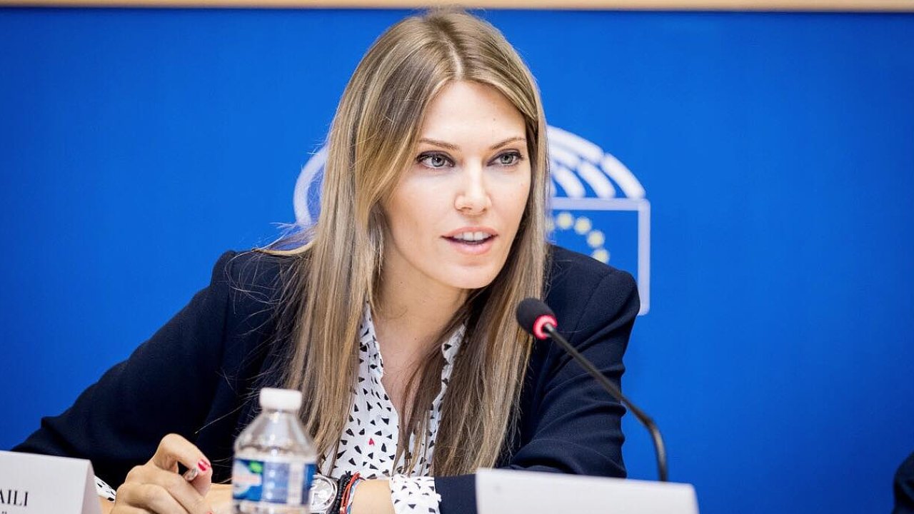 Jednou ze zadrench je mstopedsedkyn Evropskho parlamentu, ekyn Eva Kailiov. V europarlamentu je lenkou socialistick frakce.