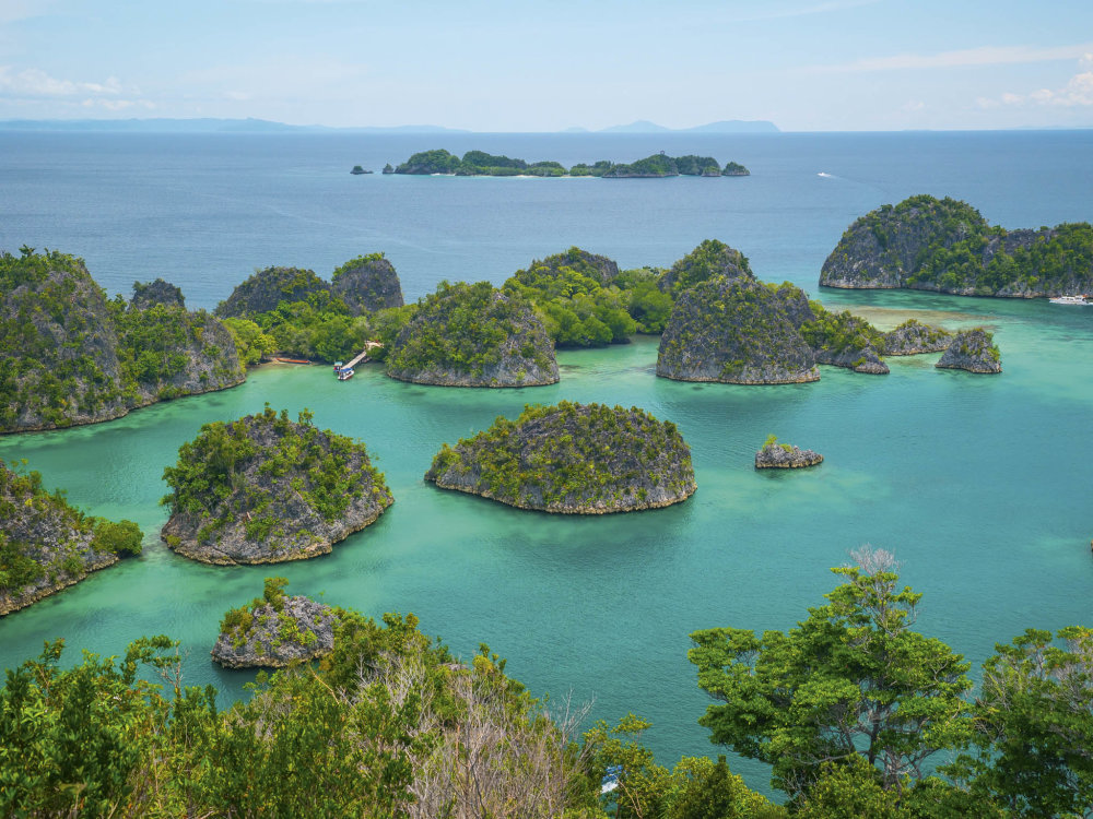Souostroví Raja Ampat je součástí Západní Papuy, která je provincií Indonésie. Více než 1500 ostrovů patří do národní přírodní rezervace a leží v tzv. korálovém trojúhelníku s největší mořskou biodiverzitou na Zemi. Při vstupu do národního parku je třeba zaplatit poplatek jeden milion indonéských rupií (asi 1600 korun). Platnost má jeden rok. Hlavní sezona je od října do dubna. Od května do září se mohou objevit monzunové deště.