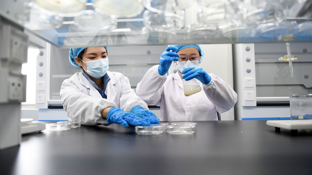 rozmach farmaceutickho prmyslu, biotechnologi v n