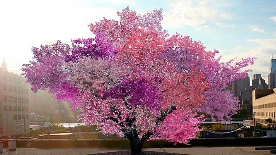 Vizualizace jak by mìl vypadat vzrostlý strom s 40 druhy ovoce