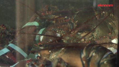 Restaurace_Les_moules.mp4.jpg