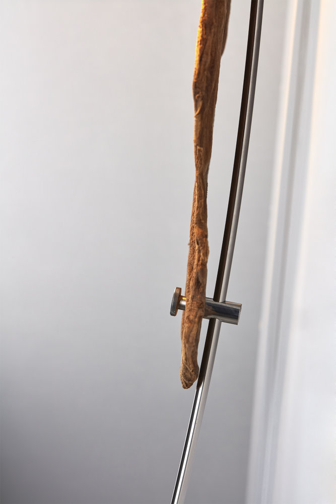Lampa Mycophyta od Tomáše Rachunka