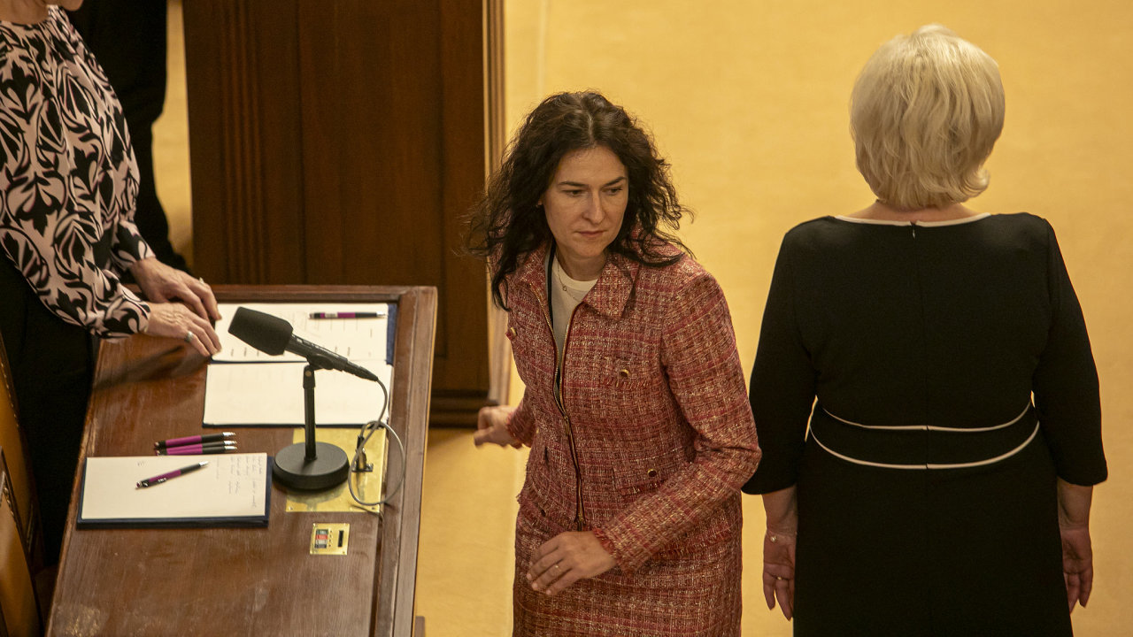 Ustavuj�c� sch�ze sn�movny